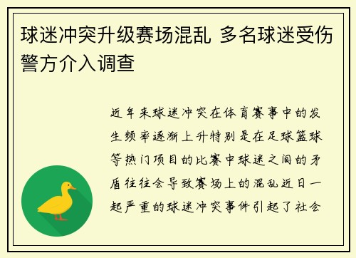 球迷冲突升级赛场混乱 多名球迷受伤警方介入调查